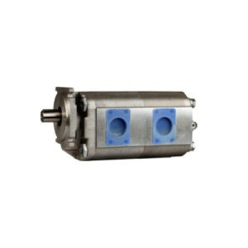 GEAR PUMP WITH ROLLER BEARING